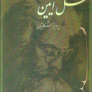 سل آیین برای سنتور